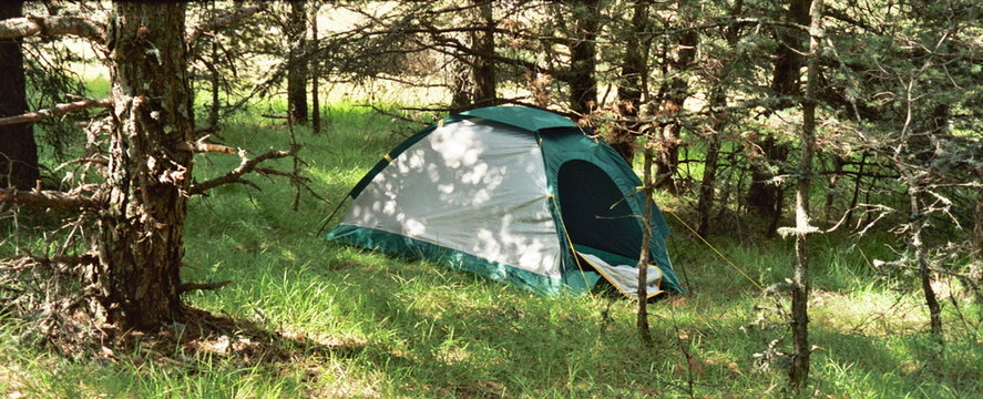 zelt reinigen eco:fy Zelt- & Pavillon-Reiniger