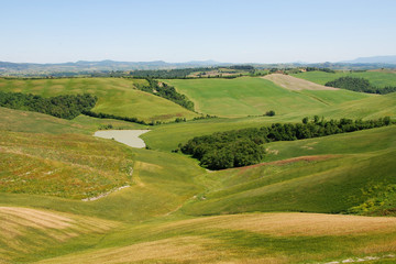 Fototapeta premium paesaggio da asciano, crete senesi