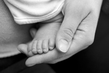 pied de b&eacute;b&eacute;