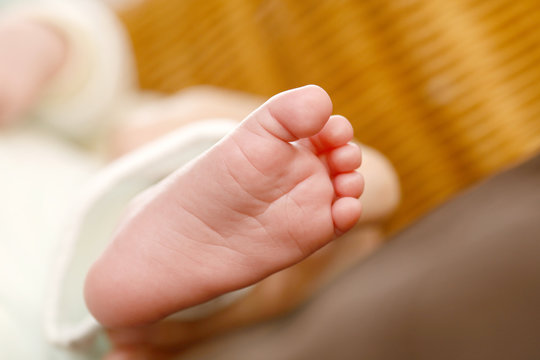 Doigt De Pied Images Browse 112 Stock Photos Vectors And Video Adobe Stock