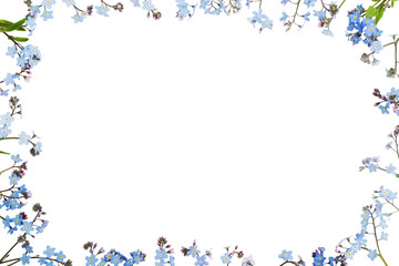 forget-me-not (floral ornament)