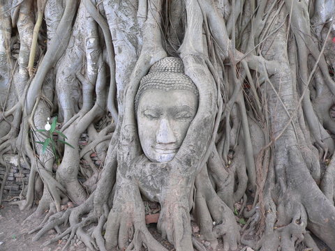 budda