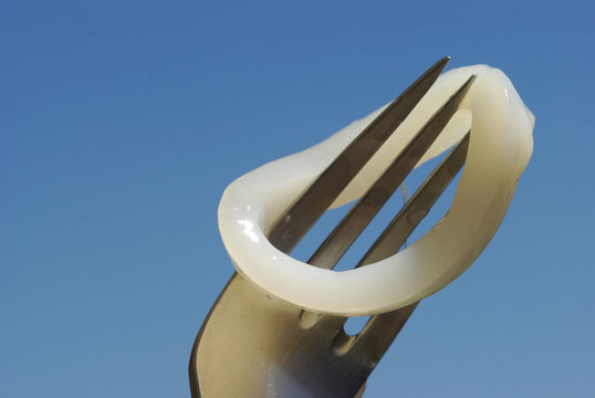 anello di calamaro