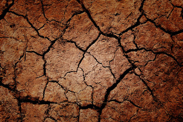 cracked earth
