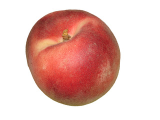 une pêche