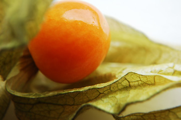 cape gooseberry (physalis)