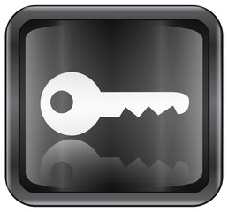 key icon button. (with clipping path)