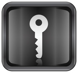 key icon button. (with clipping path)