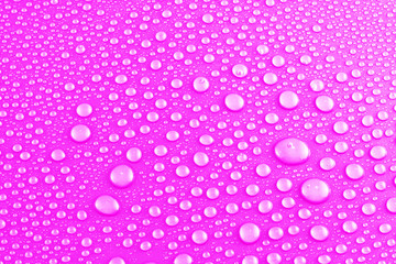 water drops on pink