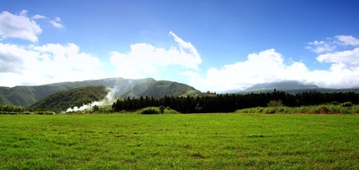 prairie verte tropicale