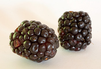 pair of blackberries