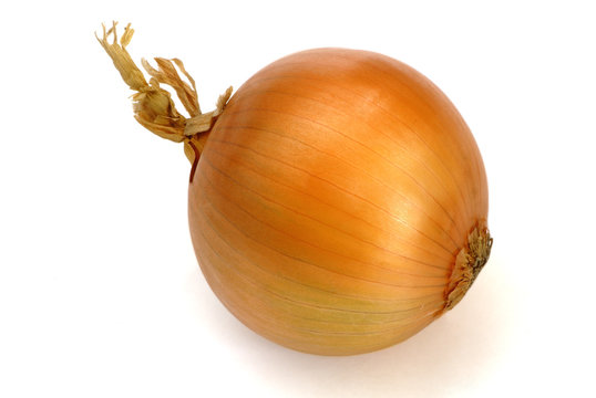 oignon jaune