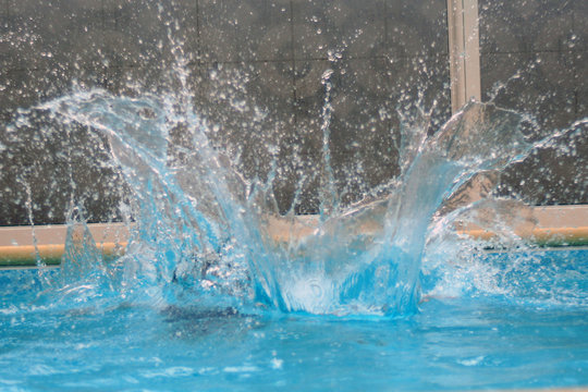 plongeon