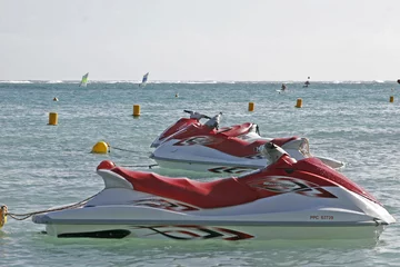Foto op Plexiglas scooters des mers © Christophe Fouquin