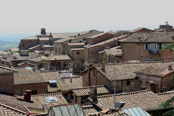 siena