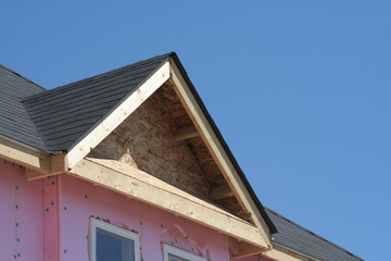 Townhouse Roof