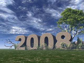year 2008