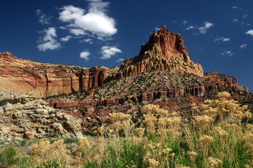 capitol reef © Terry Reimink