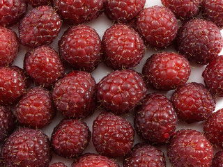 raspberry background
