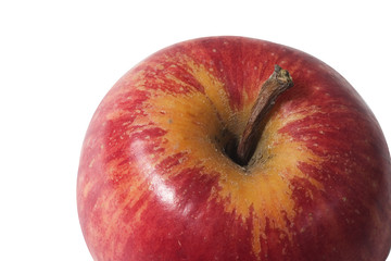 red apple close up