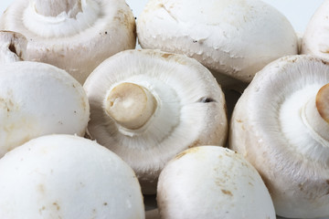 mushrooms background