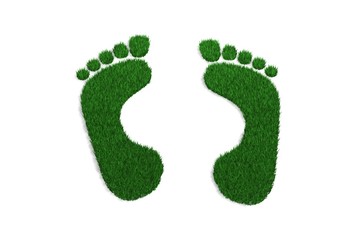 empreintes de pied pelouse