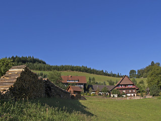 schwarzwald