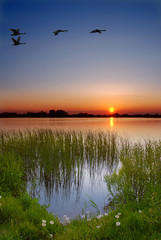 Obrazy  zachód słońca nad jeziorem