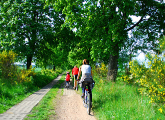 family cycling - 3299133