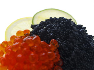 beluga und lachs caviar