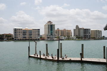dock on the bay