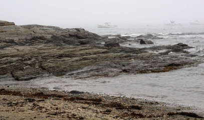 foggy rocky coast