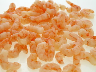 gekochte grönland shrimps © Lucky Dragon
