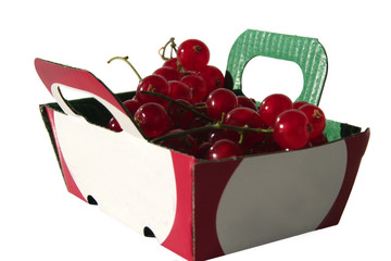 panier de groseilles