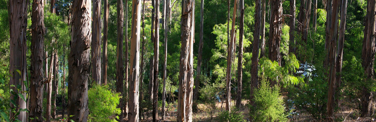 australien_07_0675