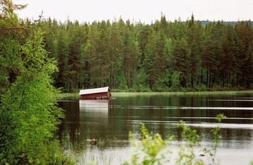 Fototapete bei efototapeten.de bestellen   