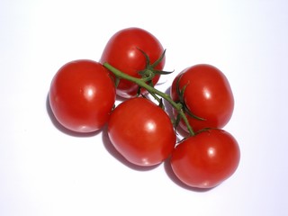 tomates