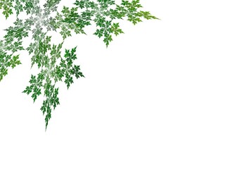 Obraz premium green leaf fractal