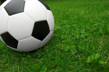 Fototapeta na wymiar Piłka nożna na trawie