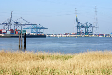 port of antwerp