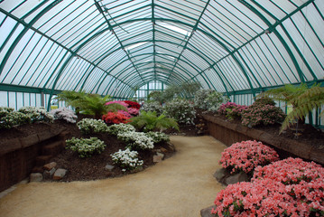 royal greenhouse
