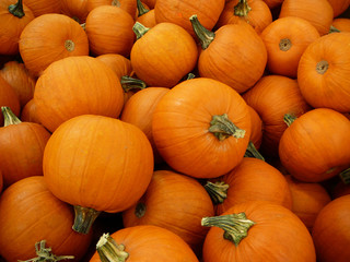 pumpkins