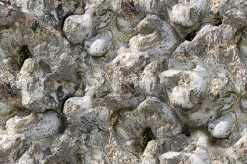 white stone texture