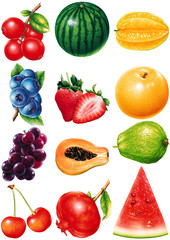 fruits