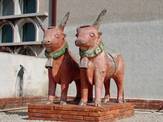 vaches