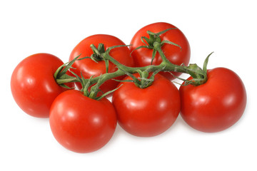 red vine ripened british tomatoes.
