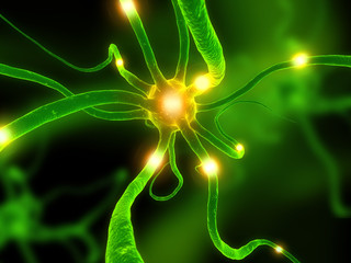 aktive neuronenzelle - obrazy, fototapety, plakaty