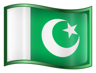 pakistan flag icon. (with clipping path)