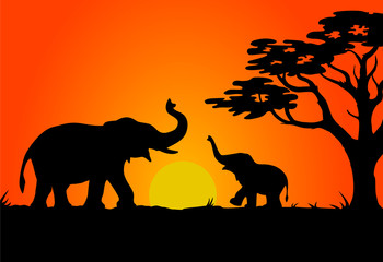 Naklejka premium Safari sunset