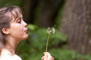 girl with dandelion ii